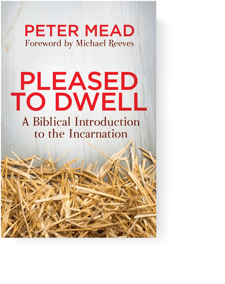 A biblical introduction to the incarnation by Peter Mead